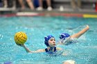 WWPolo vs CC  Wheaton College Women’s Water Polo compete in their sports inaugural match vs Connecticut College. - Photo By: KEITH NORDSTROM : Wheaton, water polo, inaugural